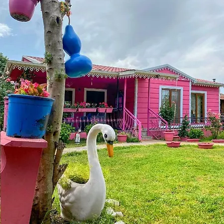 Masukiye Pink House Apartment Kartepe