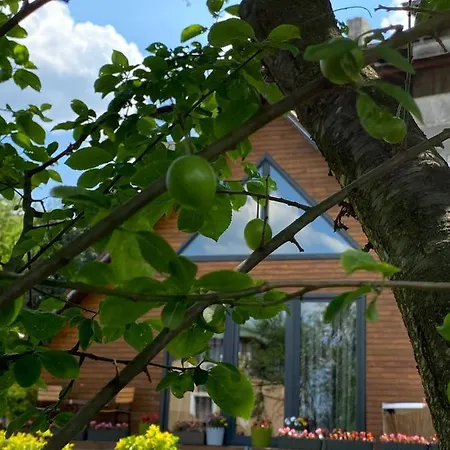 Apartment Masukiye Pink House