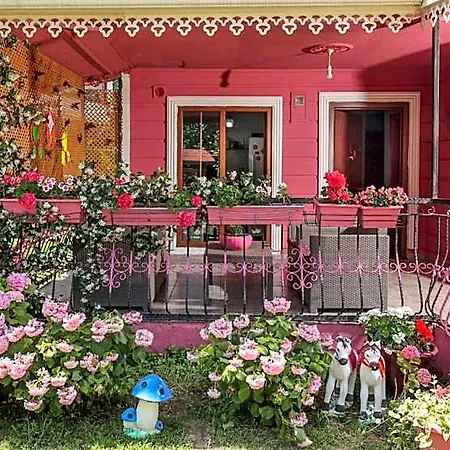 Masukiye Pink House *