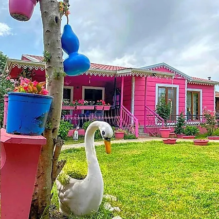 Apartment Masukiye Pink House Kartepe